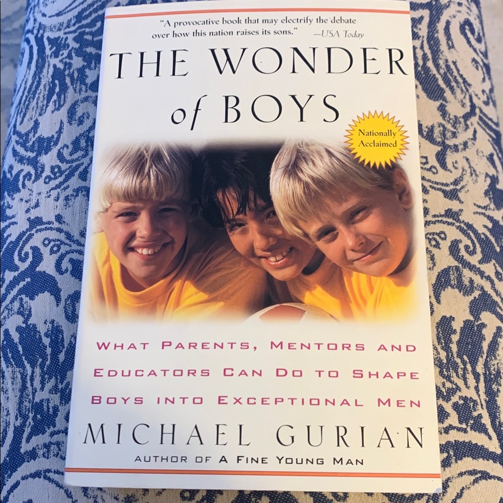 The Wonder of Boys by Michael Gurian